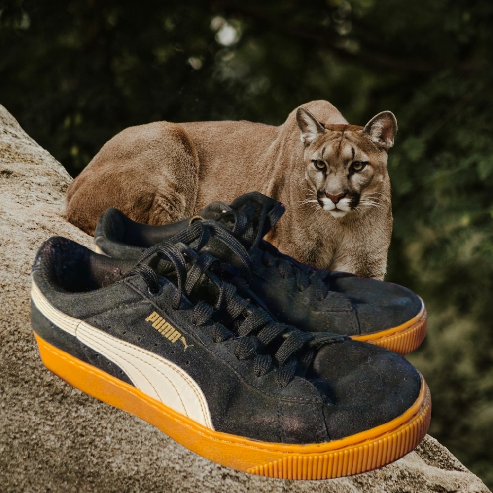Puma Vikky Platform Sneakers